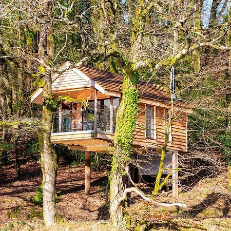 Finest Retreats - The Tree House - Eco-Friendly, Back To Nature Experience Germansweek المظهر الخارجي الصورة