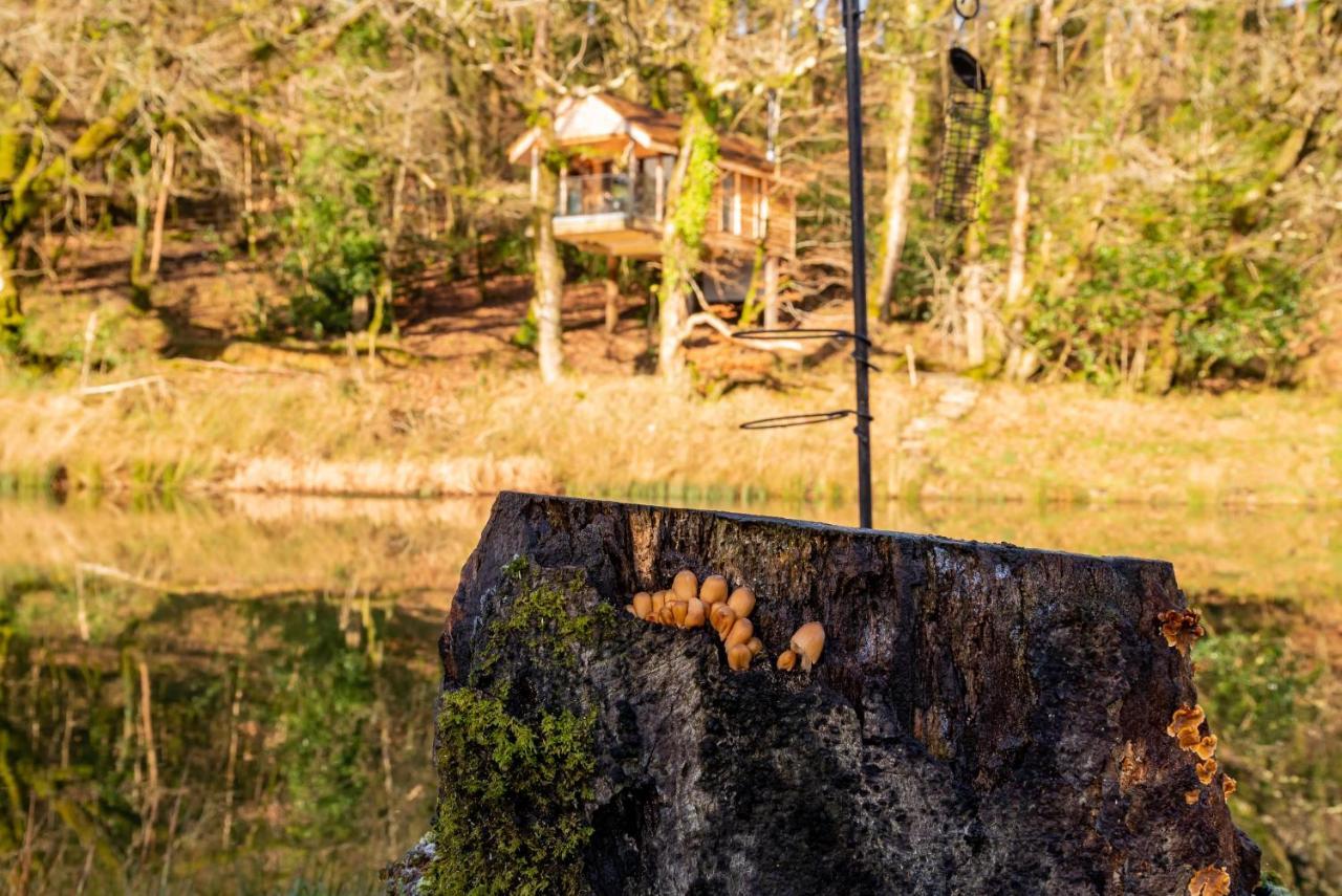 Finest Retreats - The Tree House - Eco-Friendly, Back To Nature Experience Germansweek المظهر الخارجي الصورة